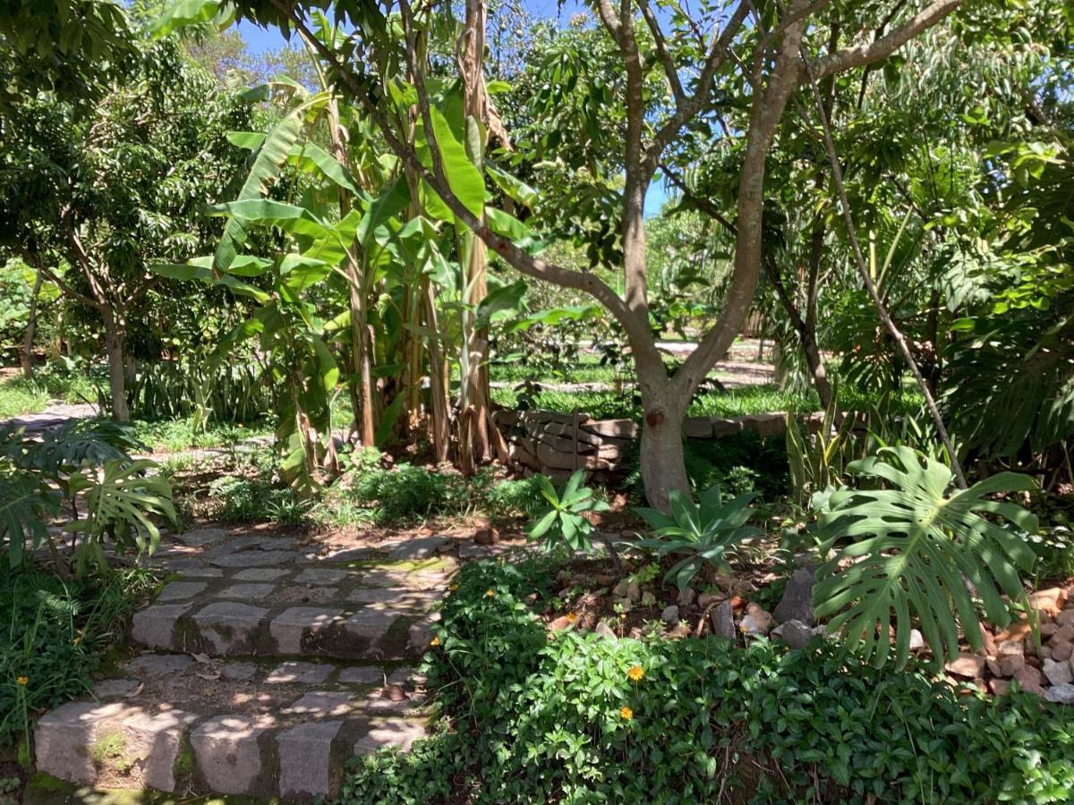 Villa Chezsoa, أنتاناناريفو المظهر الخارجي الصورة