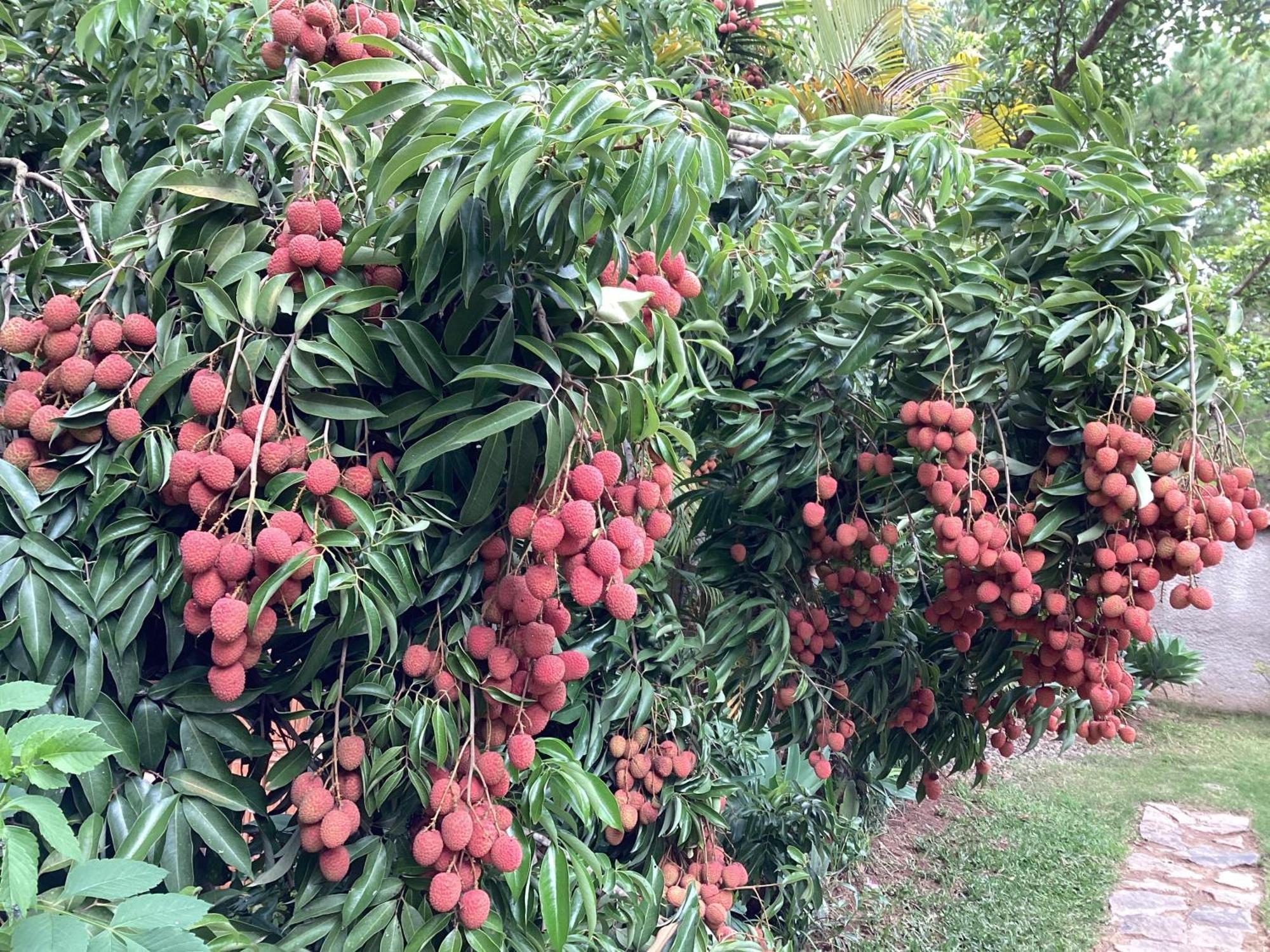 Villa Chezsoa, أنتاناناريفو المظهر الخارجي الصورة